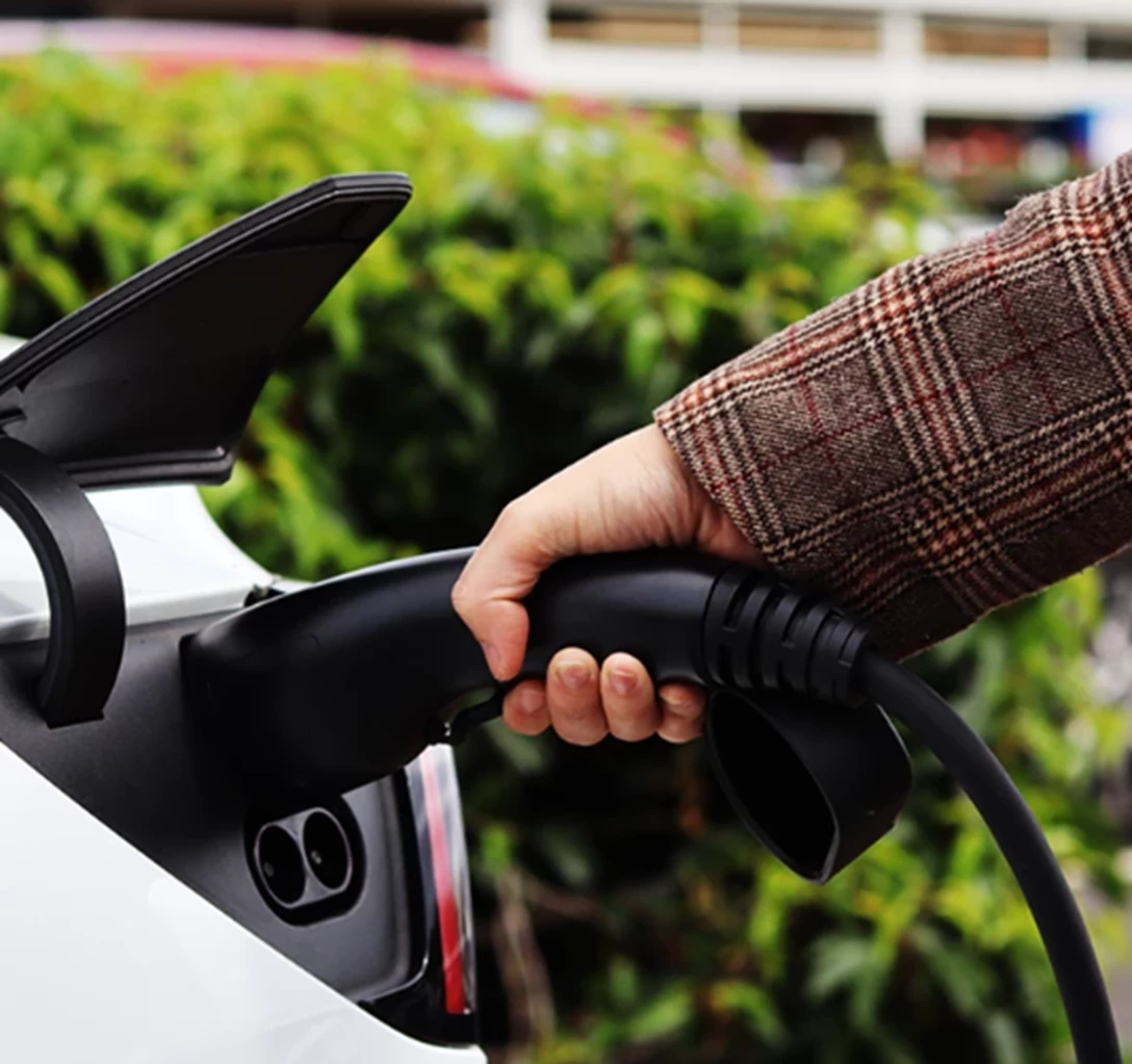 1708338-צילום מסך 2025-04-22 133243.png