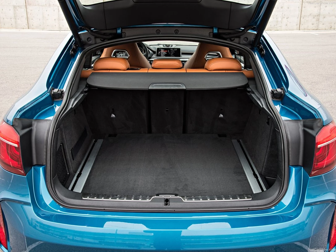 1588813-BMW-X6_M 8.jpg