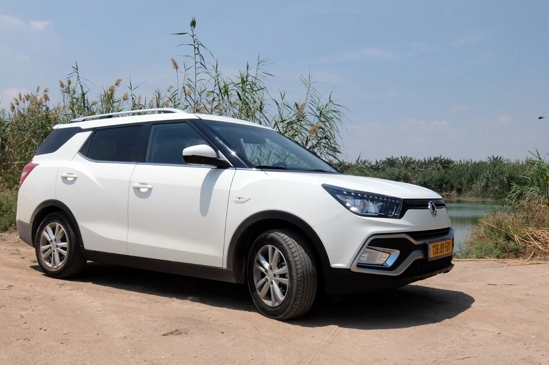 1597000-סאנגיונג טיבולי XLV (10).JPG