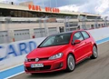 1670413-Volkswagen-Golf_GTI-2014-04.jpg