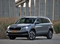 1692580-Skoda-Karoq-2024-04-YL.jpg