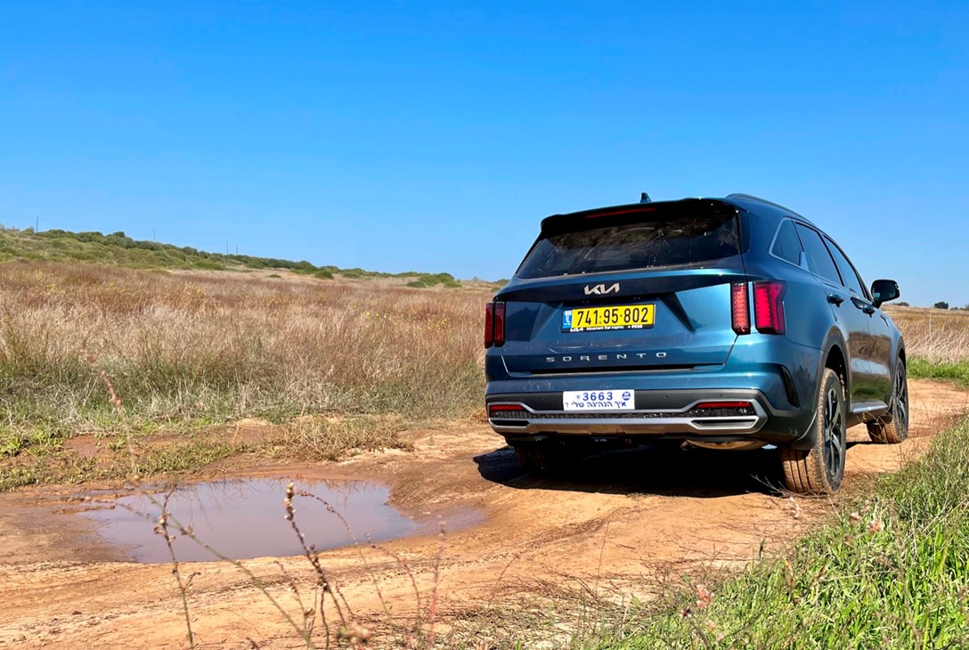 1655889-SORENTO 25 - 9.jpeg
