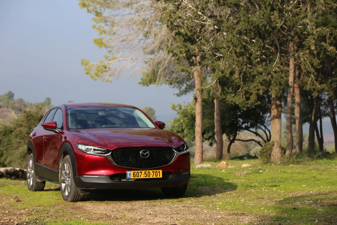 1629377-IMG_9289 - Copy.JPG