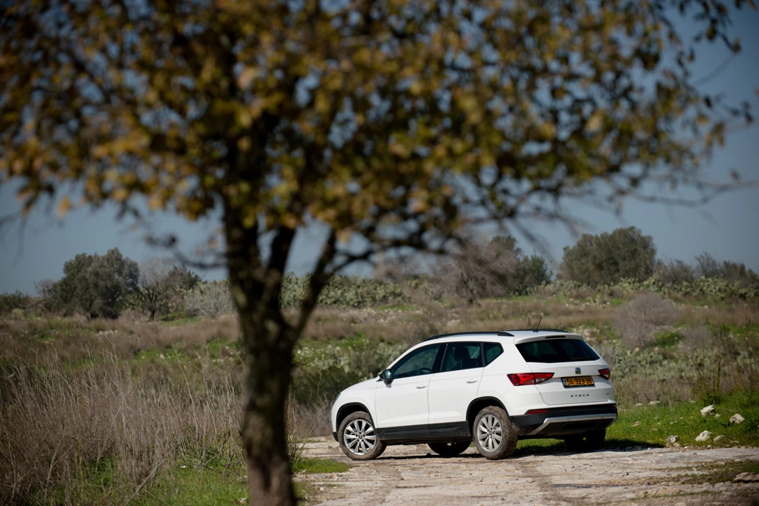 1584081-by benny doutsh-35.jpg