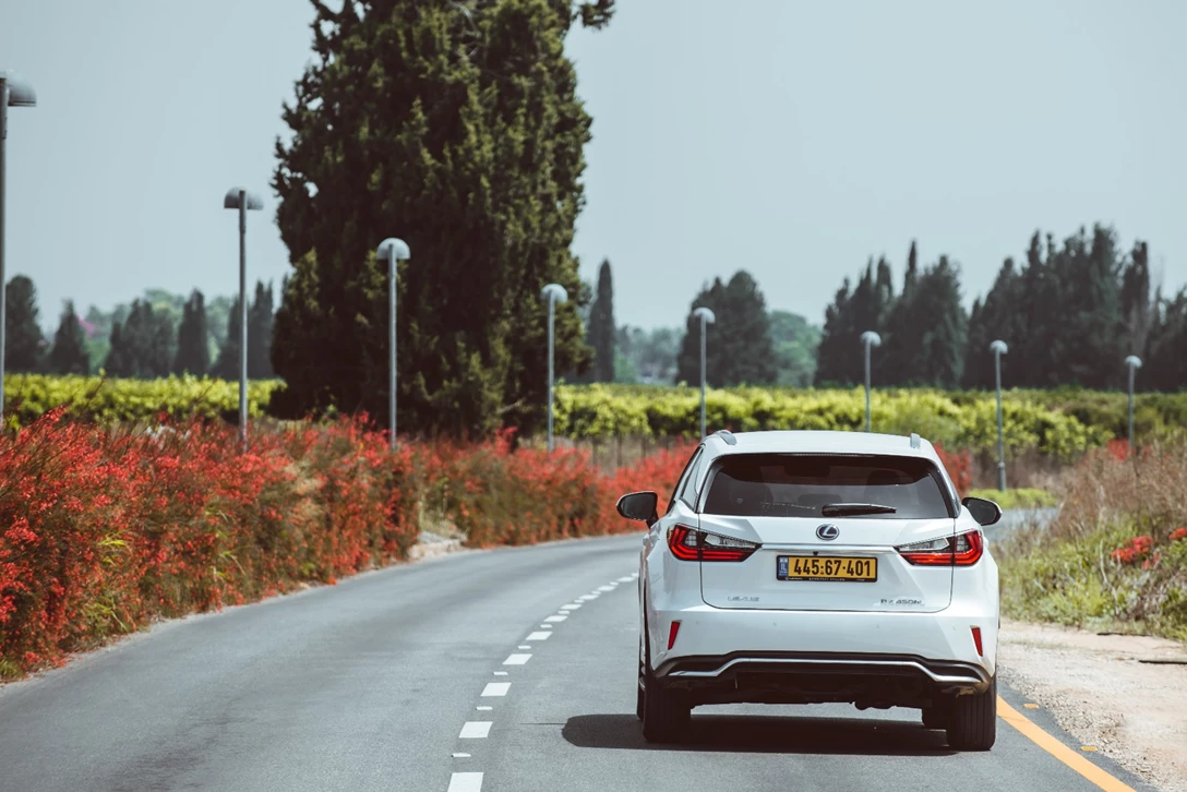 1597504-לקסוס RX L מבחן דרכים (3).jpg