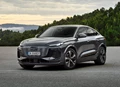 1709957-Audi-Q6_Sportback_e-tron-2025-04.jpg