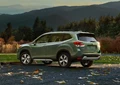 1639595-Subaru-Forester-2019-01.jpg