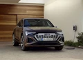 1700187-Audi-Q8_Sportback_e-tron_quattro-2024-17.jpg