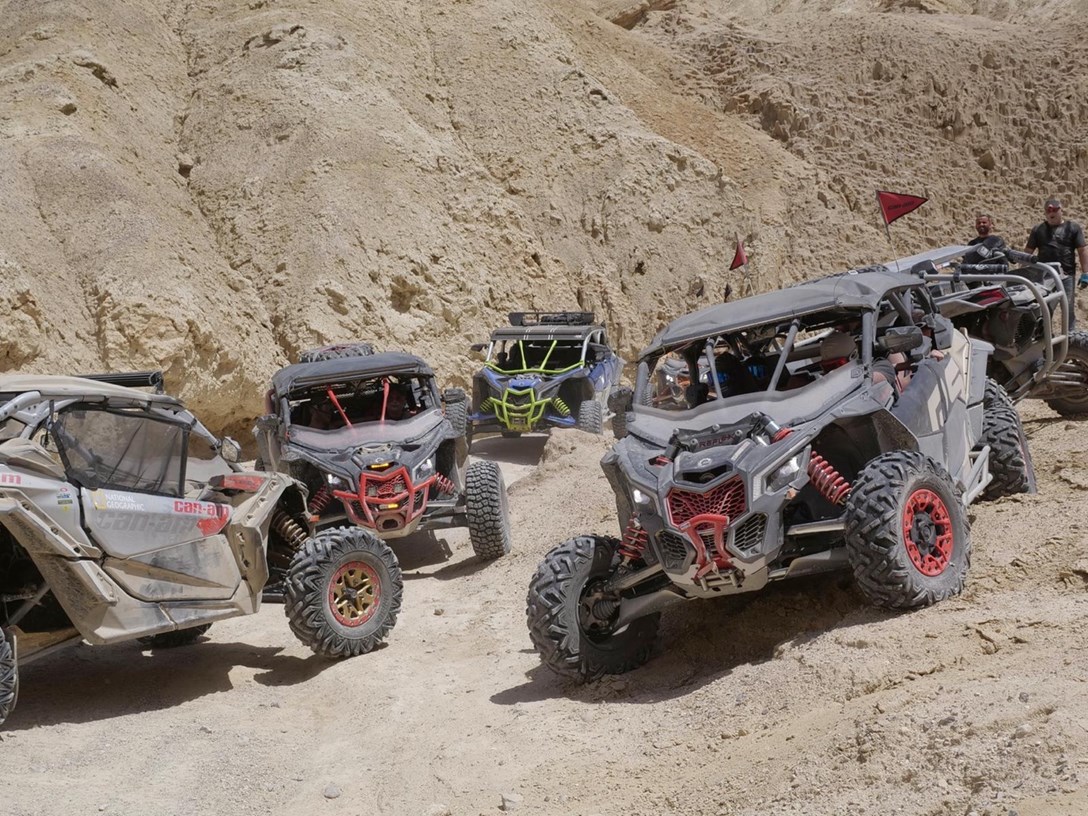 1643439-WhatsApp Image 2021-05-04 at 11.05.01 (1).jpeg