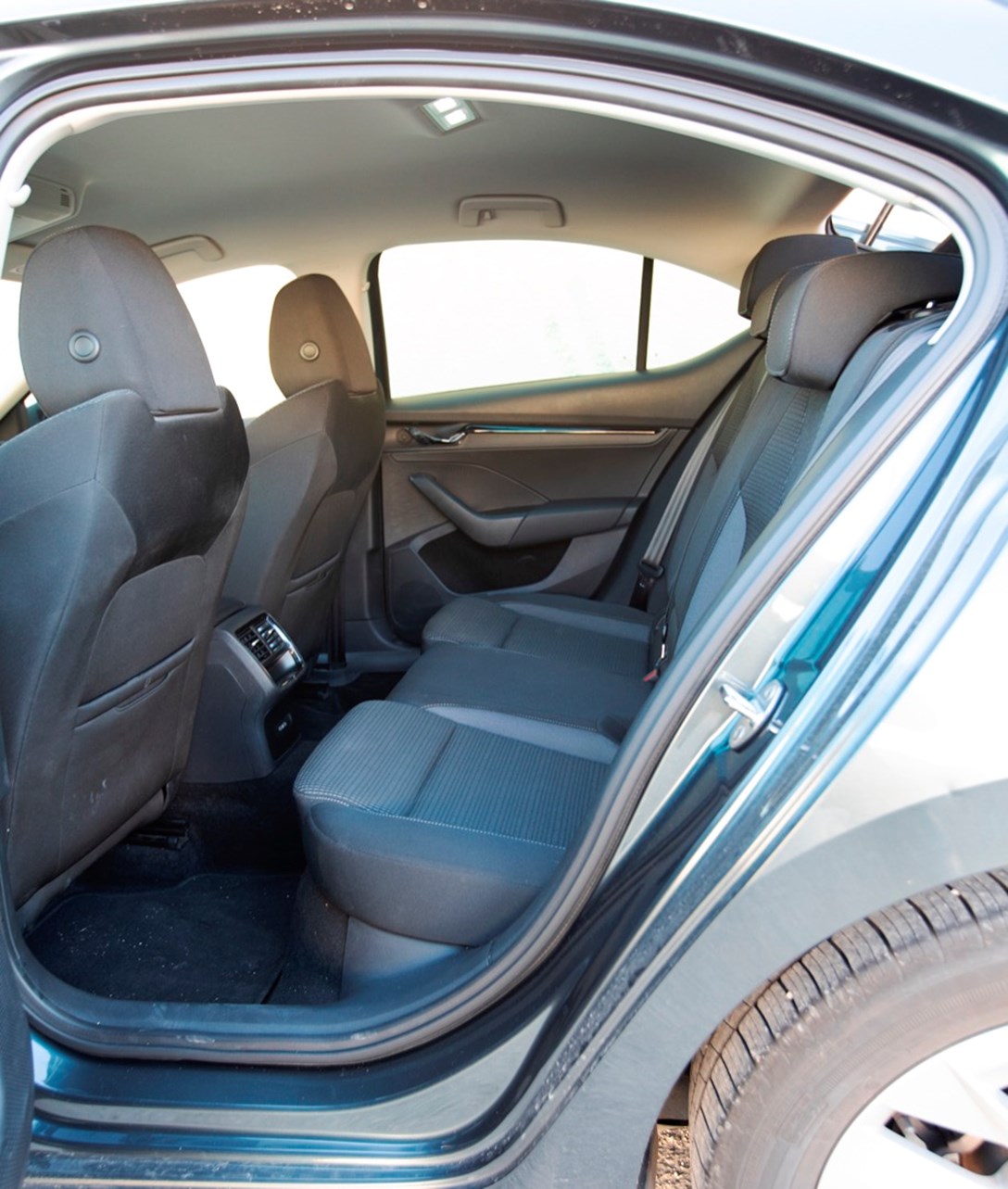 1657603-השוואתי משפחתיות - 22.jpeg