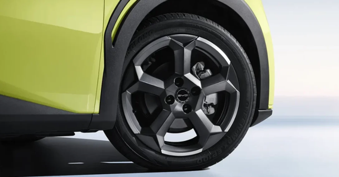 1709124-צילום מסך 2025-05-21 121121.png