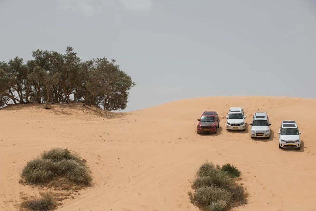 1600611-BY BENNY DOUTSH-25 (2).jpg