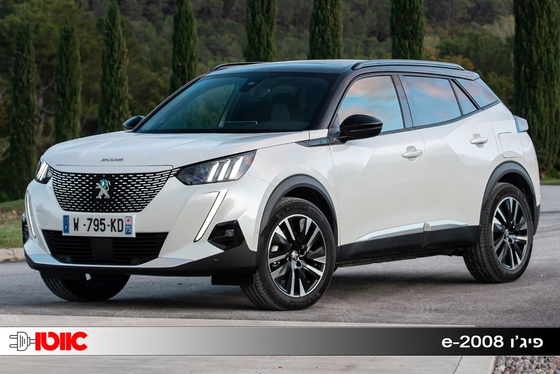 1629135-פיז'ו 2008.jpg