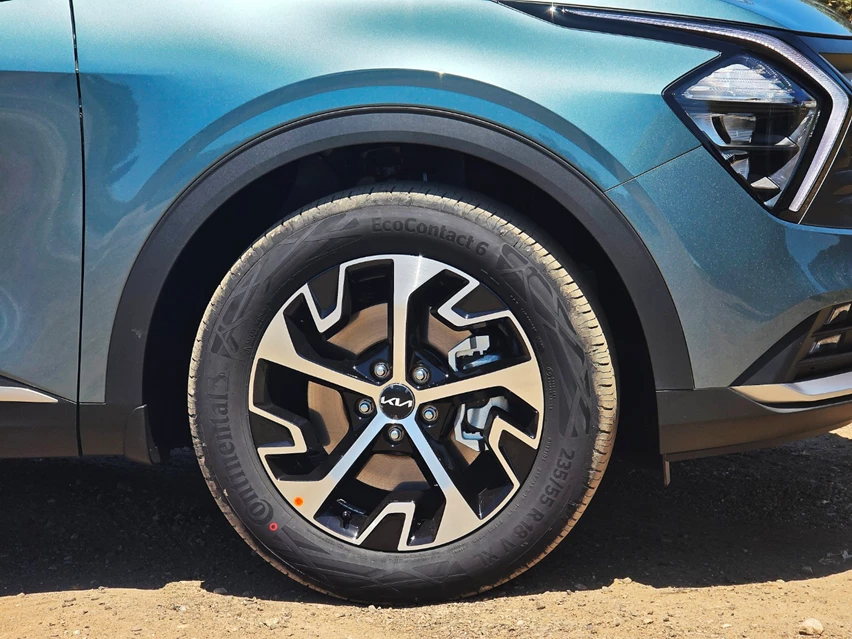 1709045-kiash (12).jpg