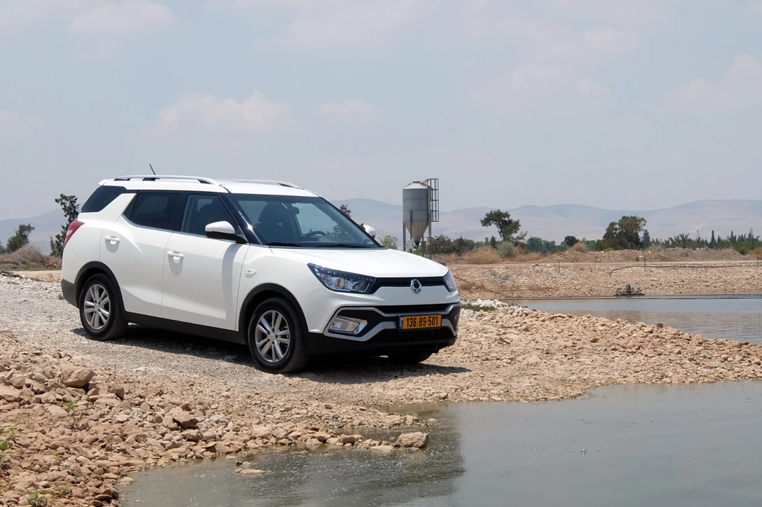 1597004-סאנגיונג טיבולי XLV (8).JPG