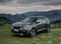 1638874-Peugeot-3008-2019-03.jpg
