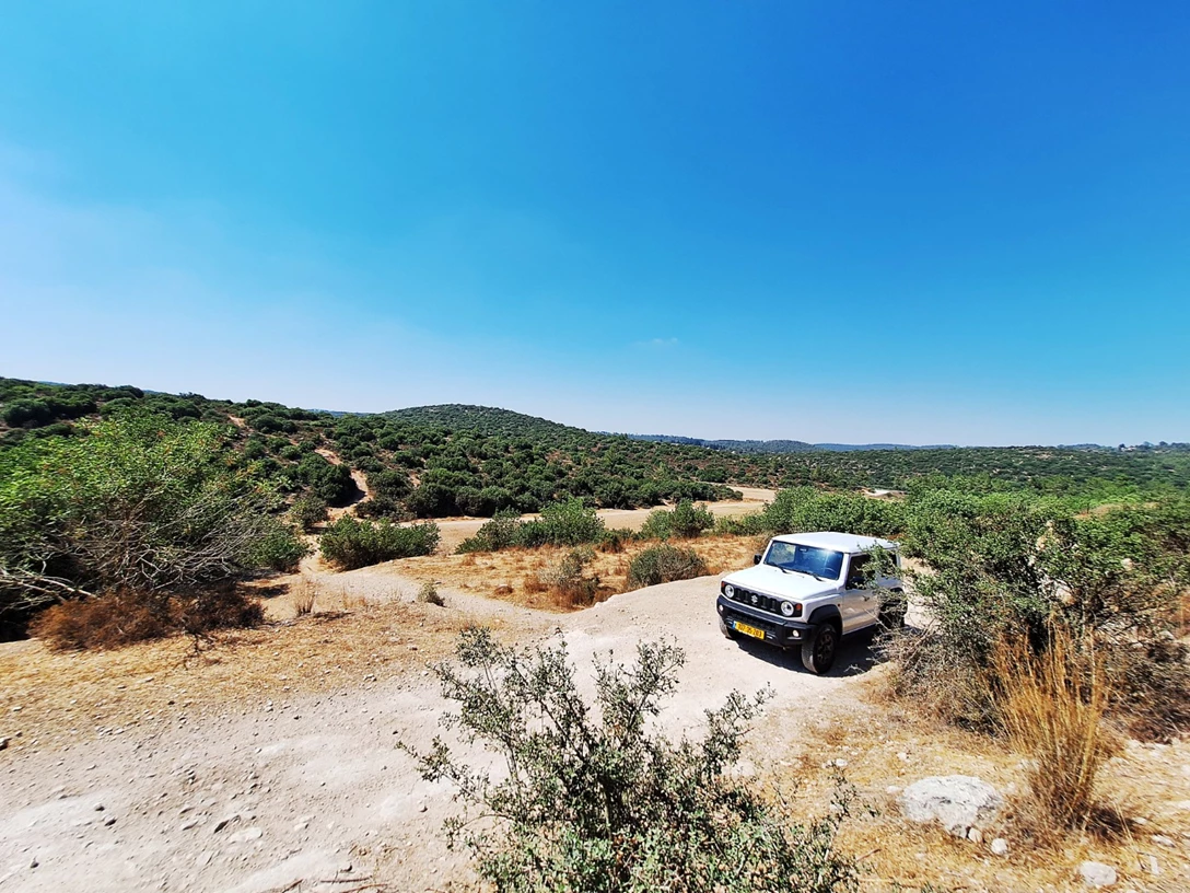 1699366-20240701_101423 (1)-min.jpg