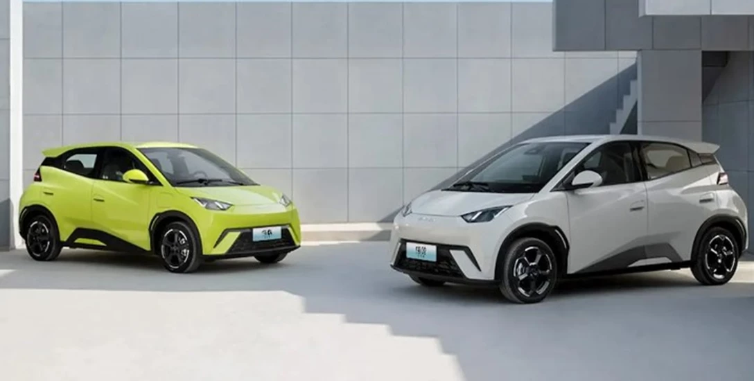 1698839-byd סיגל.jpg