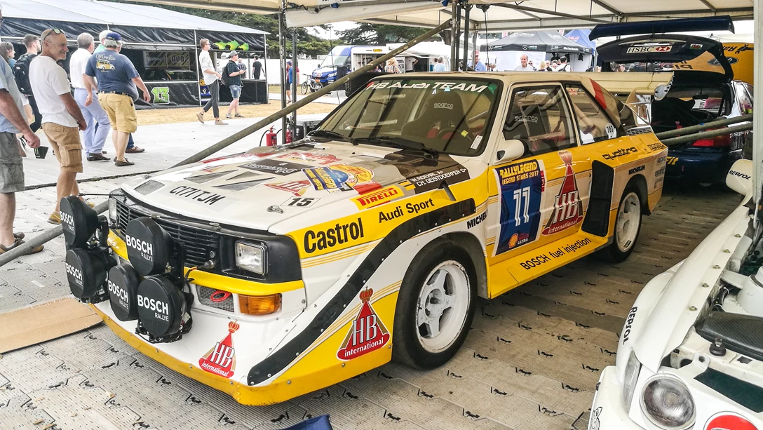 1602613-בינוני 2.png