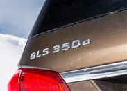 1669238-Mercedes-Benz-GLS-2019-11.jpg