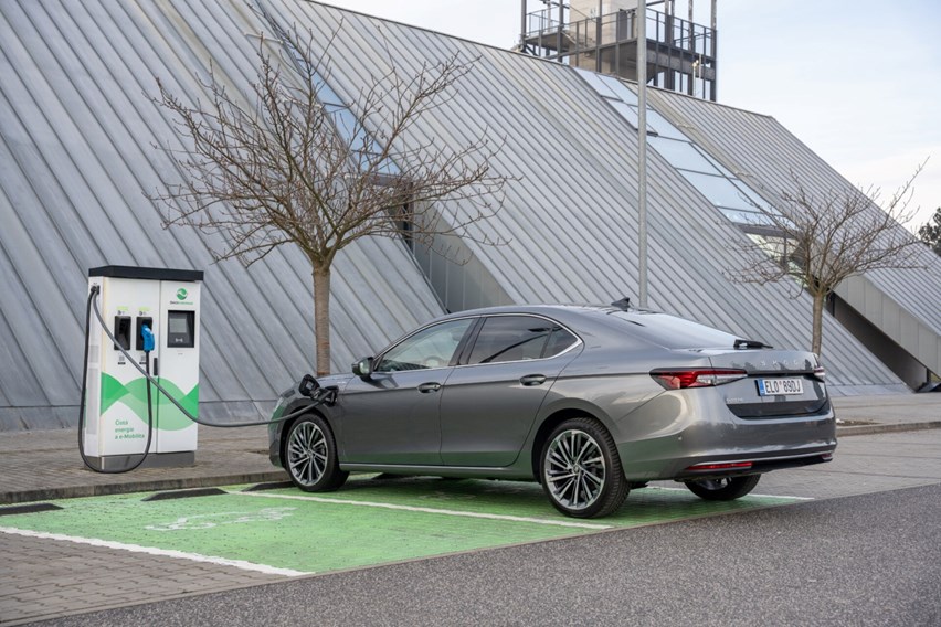 WhatsApp Image 2026-03-10 at 11.07.42.jpeg