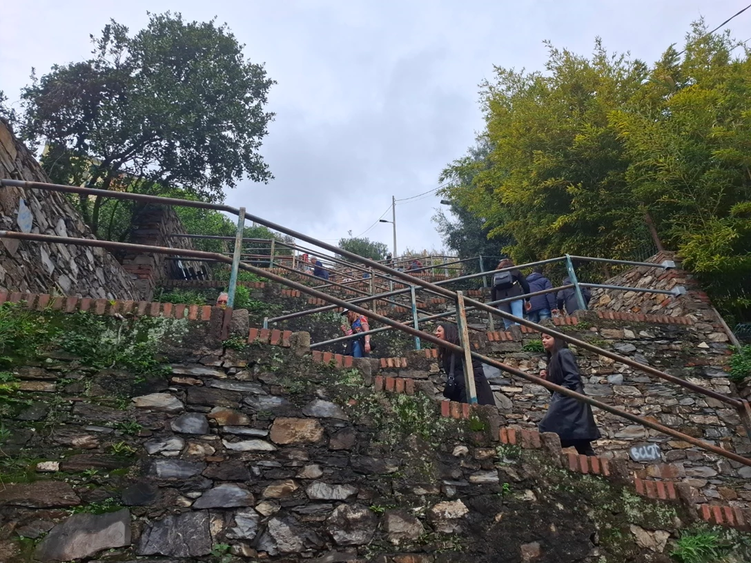 1708333-CORNILIA 1.jpg