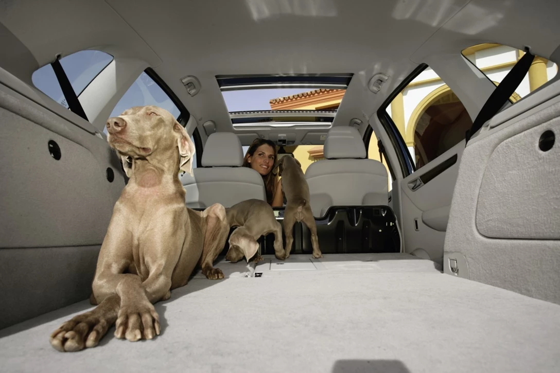 מרצדס B קלאס - פנים