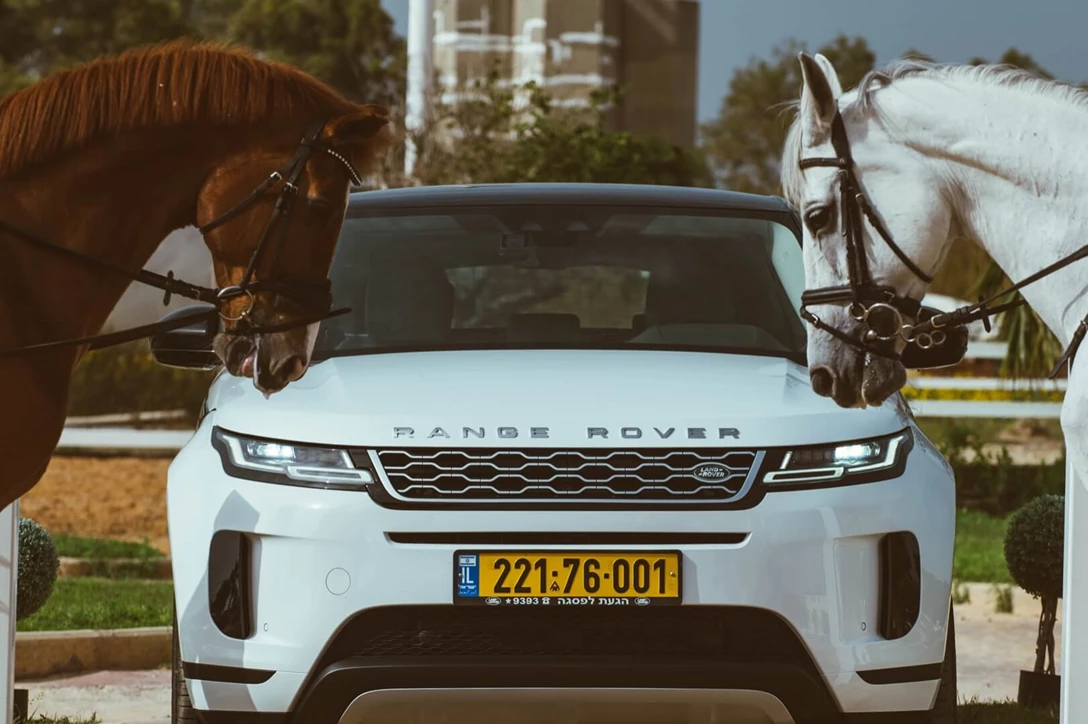 1620250-BY BENNY DOUTSH-9.jpg